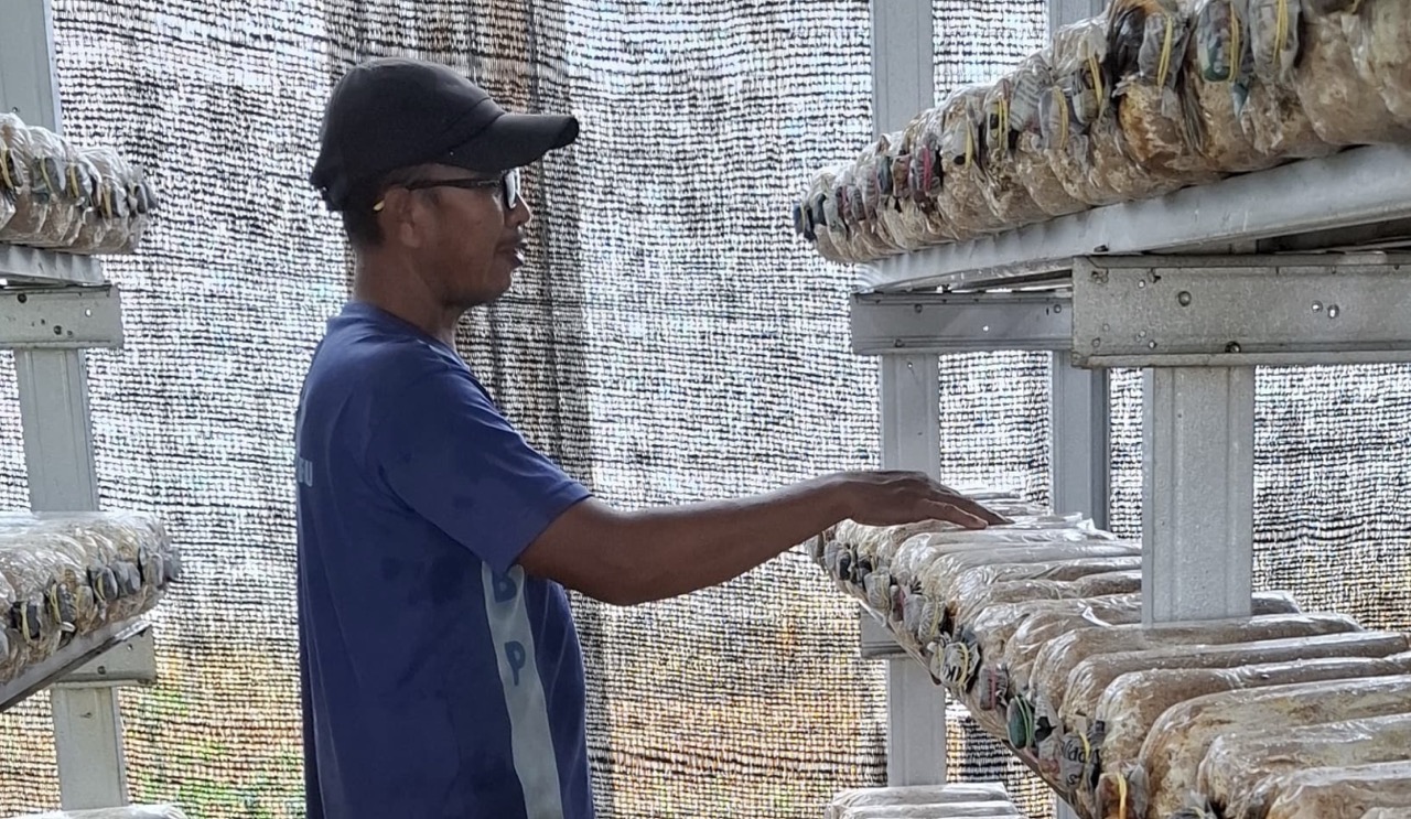 Lapas Banjarbaru Gelar Pembinaan Kemandirian Jamur Tiram bagi Warga Binaan