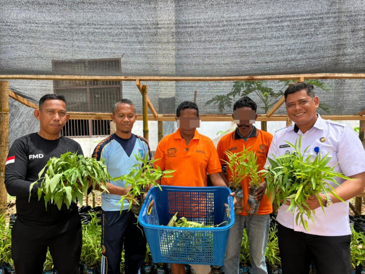 Dukung Ketahanan Pangan, Lapas Baubau Panen Terong dan Kangkung