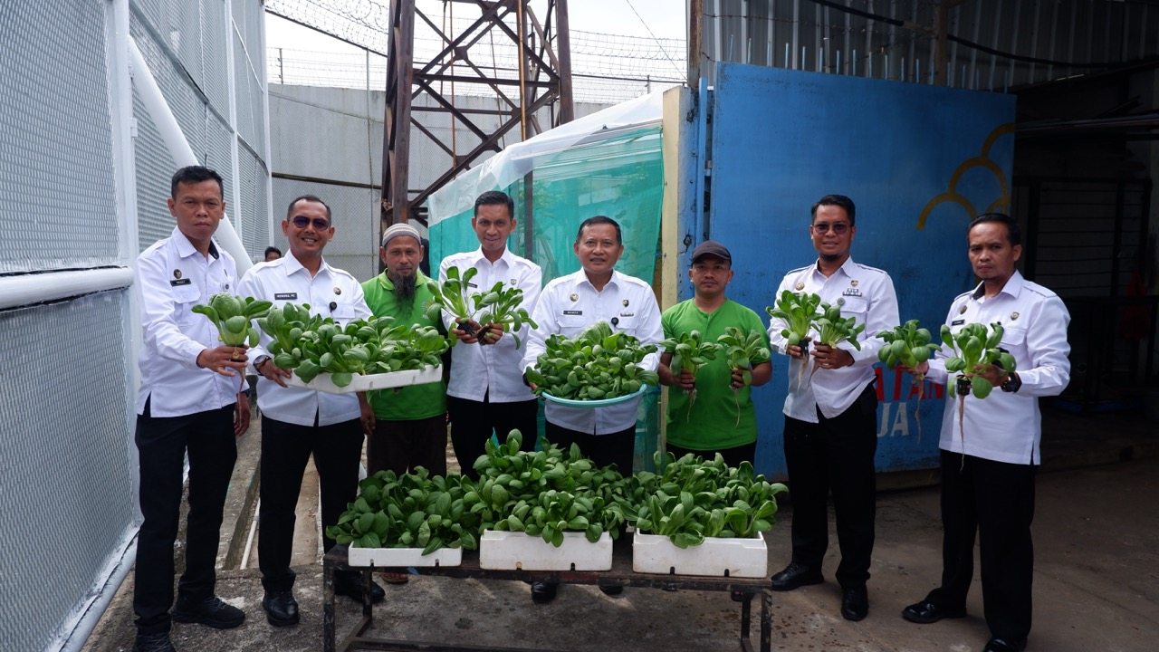 Dukung Ketahanan Pangan, Lapas Narkotika Pangkalpinang Panen Sayur Hidroponik