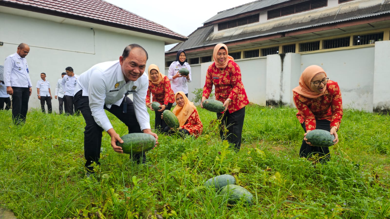 Dukung Ketahanan Pangan, Lapas Pangkalpinang Panen 106 Kg Semangka Inul