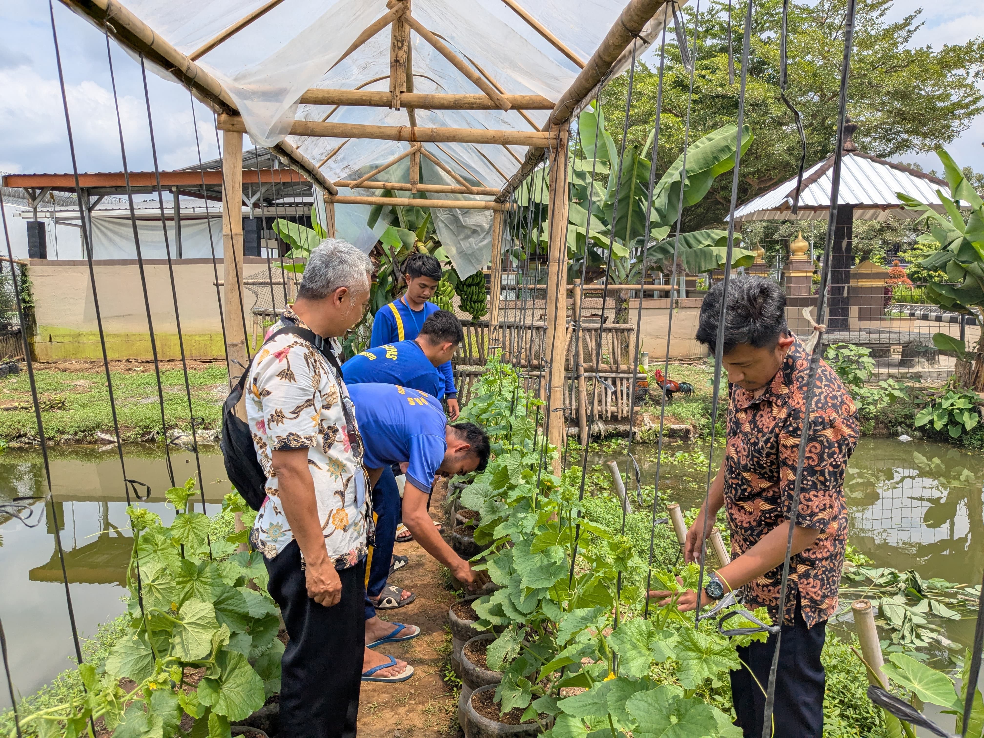 Gandeng Dinas Pertanian, Lapas Purwokerto Gelar Pelatihan Budidaya Melon