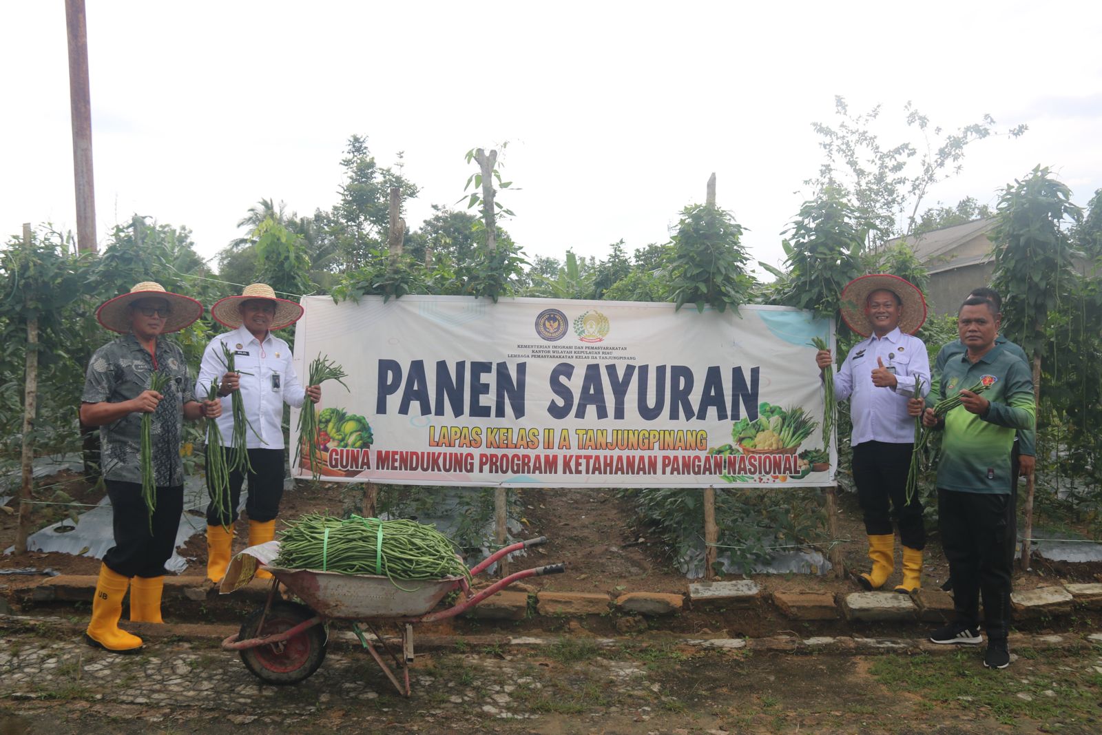 Dukung Ketahanan Pangan, Lapas Tanjungpinang Panen Sayur dan Ternak Lele