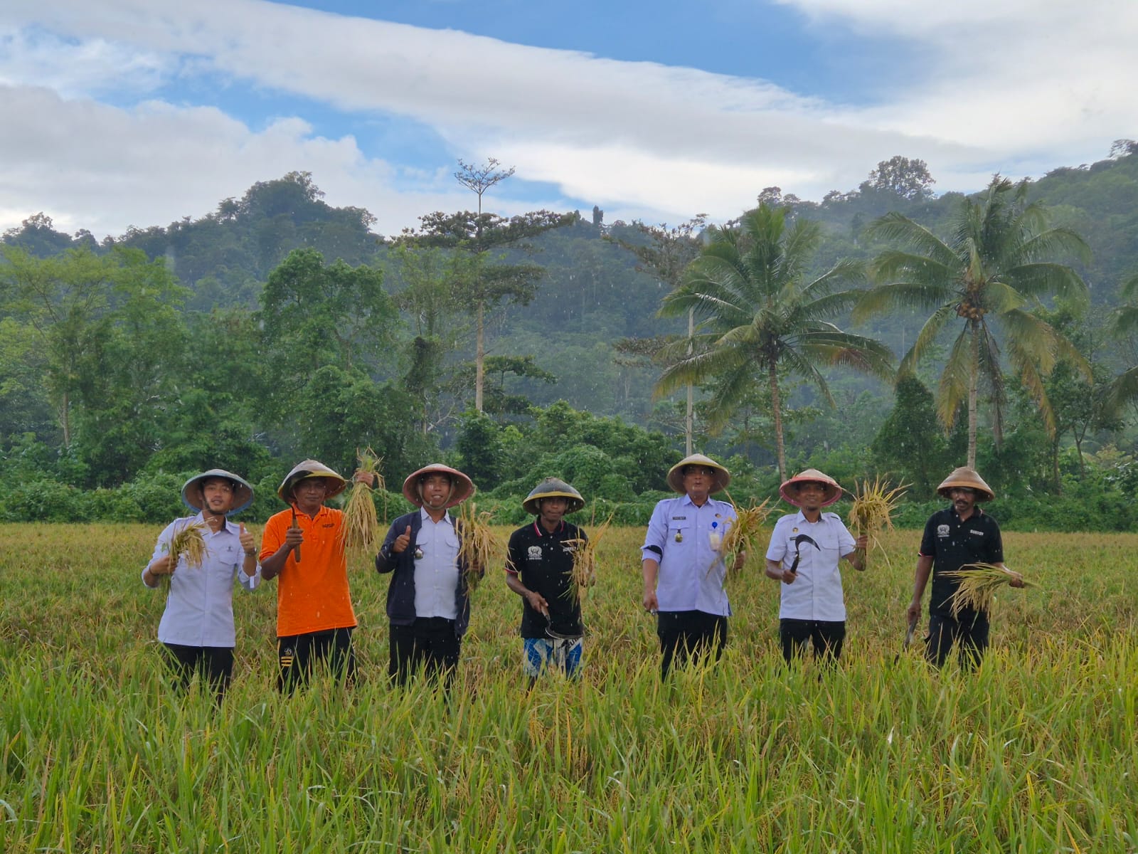 Lapas Baubau Gelar Panen Raya Padi, Wujud Nyata Dukung Program Ketahanan Pangan