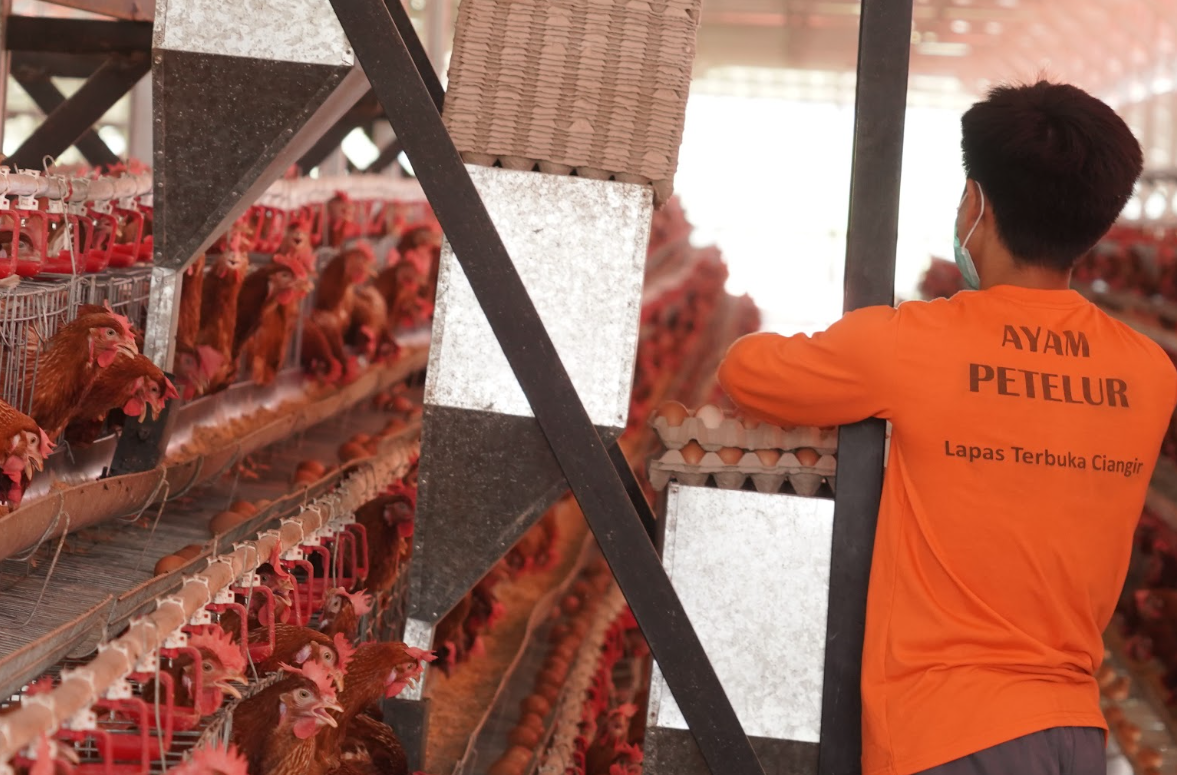 Lapas Ciangir Tak Hanya Membina, Tapi Juga Memasok Ratusan Kilogram Telur