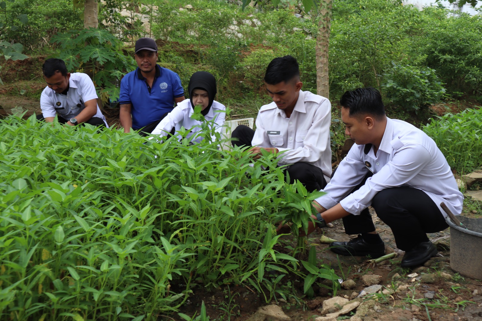 Cermin Kemandirian dan Produktivitas melalui Panen Sayuran di Rutan Sanggau