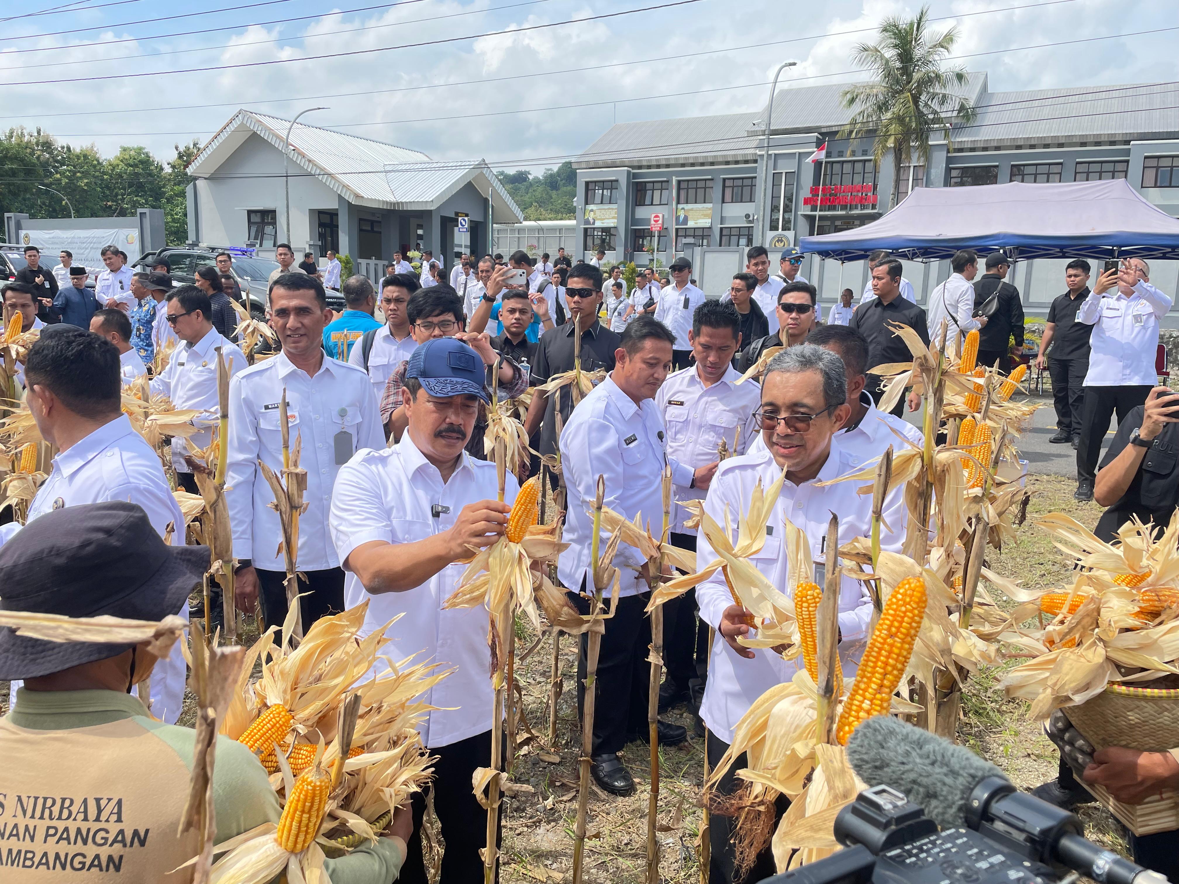 Panen perdana