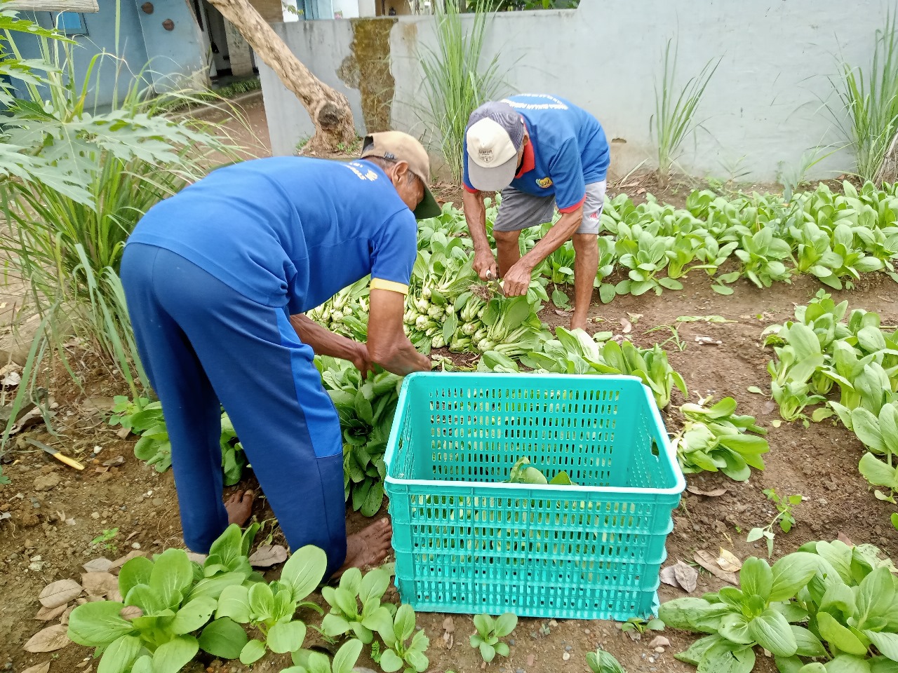 Rutan Banyumas 2