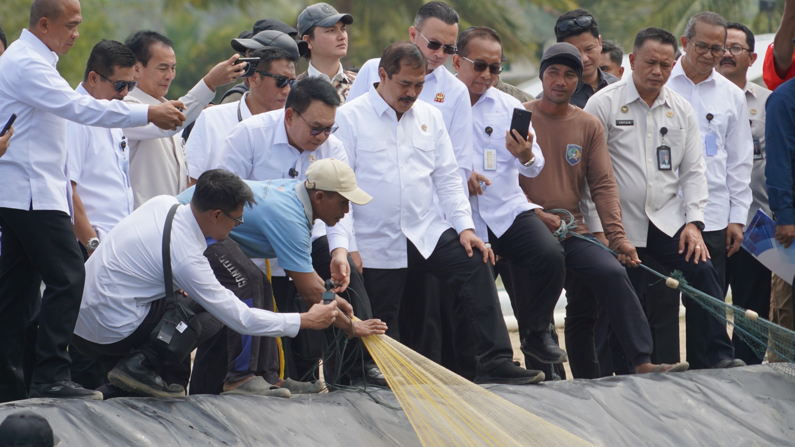 Menteri Imipas dan Kepala Staf Kepresidenan Panen Udang Vaname Nusakambangan, Siap Ekspor ke Amerika